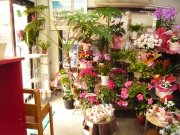 「フラワーショップ美奈美」　（奈良県生駒郡平群町）の花屋店舗写真1